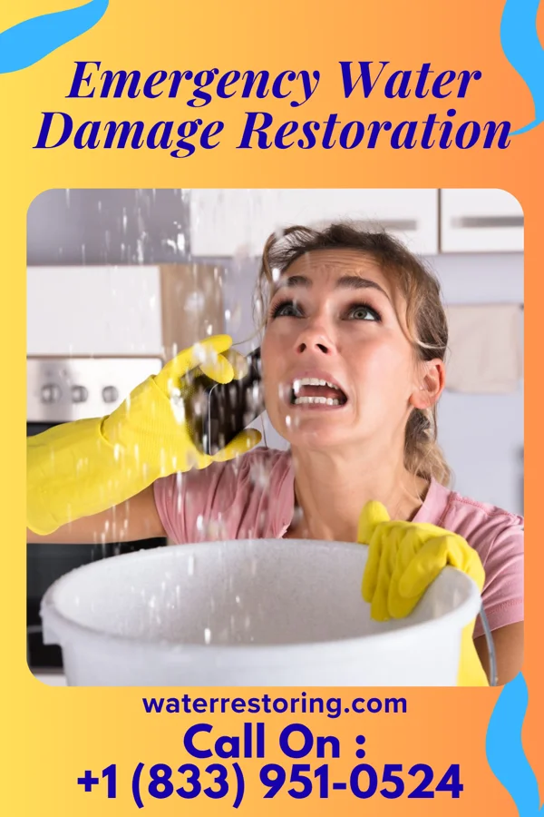 Emergency Water Damage Restoration in Pilgrim, MI
