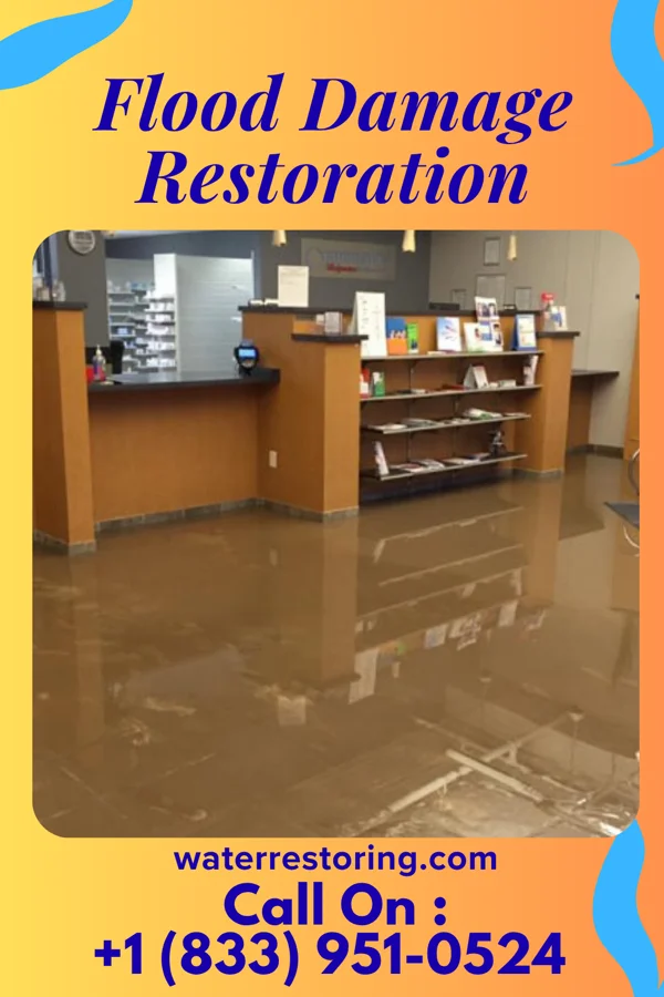 Flood Damage Restoration in Pilgrim, MI