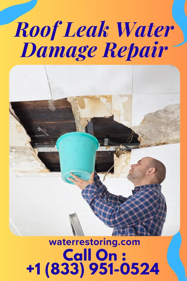 Roof Leak Water Damage Repair in Pilgrim, MI