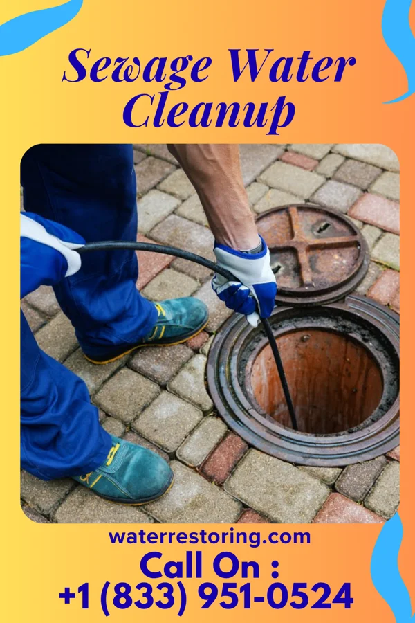 Sewage Water Cleanup in Pilgrim, MI